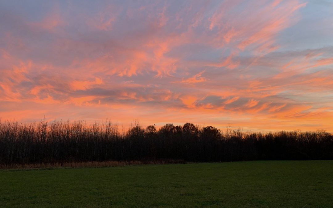 Between Perseverance and Surrender