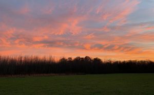 Between Perseverance and Surrender