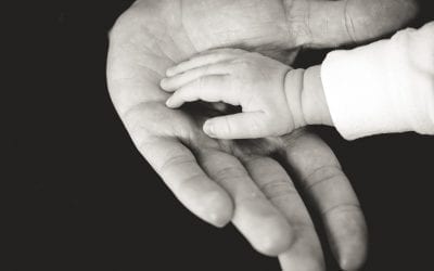 Photograph of a baby's hand in his father's palm.